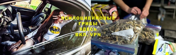 дживик Новокубанск