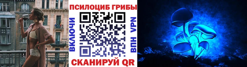 Купить  Тимашёвск  Галлюциногенные грибы GOLDEN TEACHER 